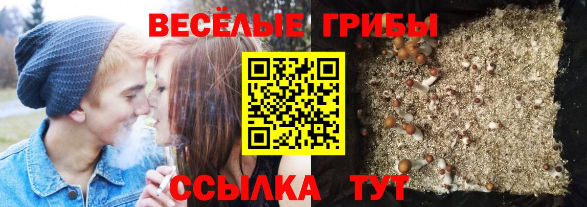 Сланцы  Галлюциногенные грибы GOLDEN TEACHER  Вход с VPN 