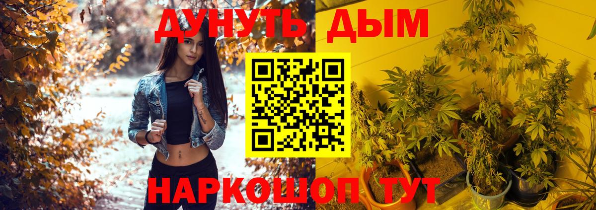 Конопля AK-47  Вход с VPN  Сланцы  Бошки Шишки OG Kush  Бошки Шишки конопля 